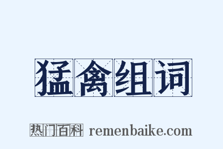 猛禽组词是什么意思的图片